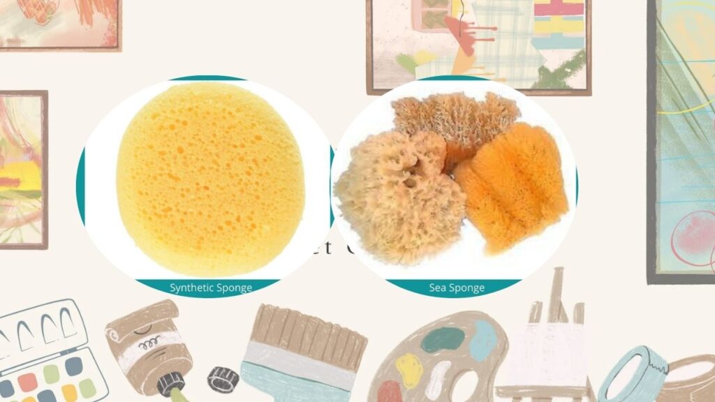 Sponge for Rock Painting