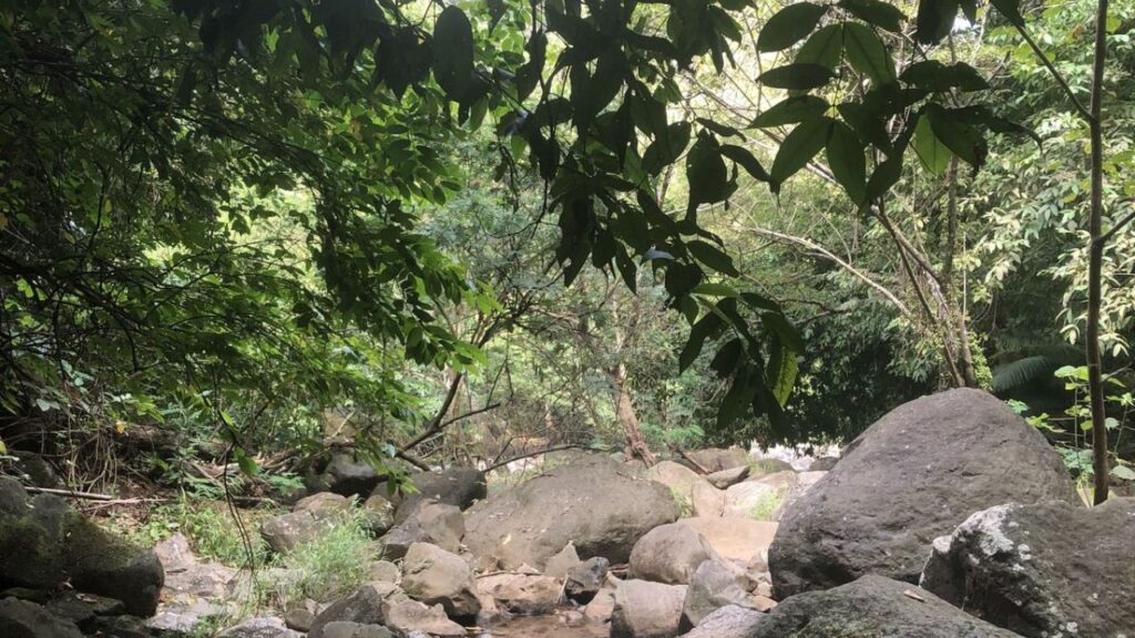 Parks and Environmental Trails Rocks for Painting